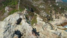 毒舌电影合伙人赵峥心脏骤停去世,享年44岁