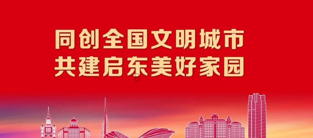 飞天小猪仔